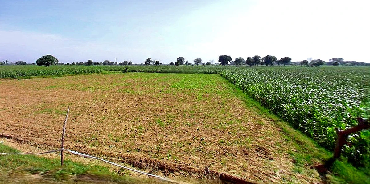 Vidisha, Madhya Pradesh 464001, India