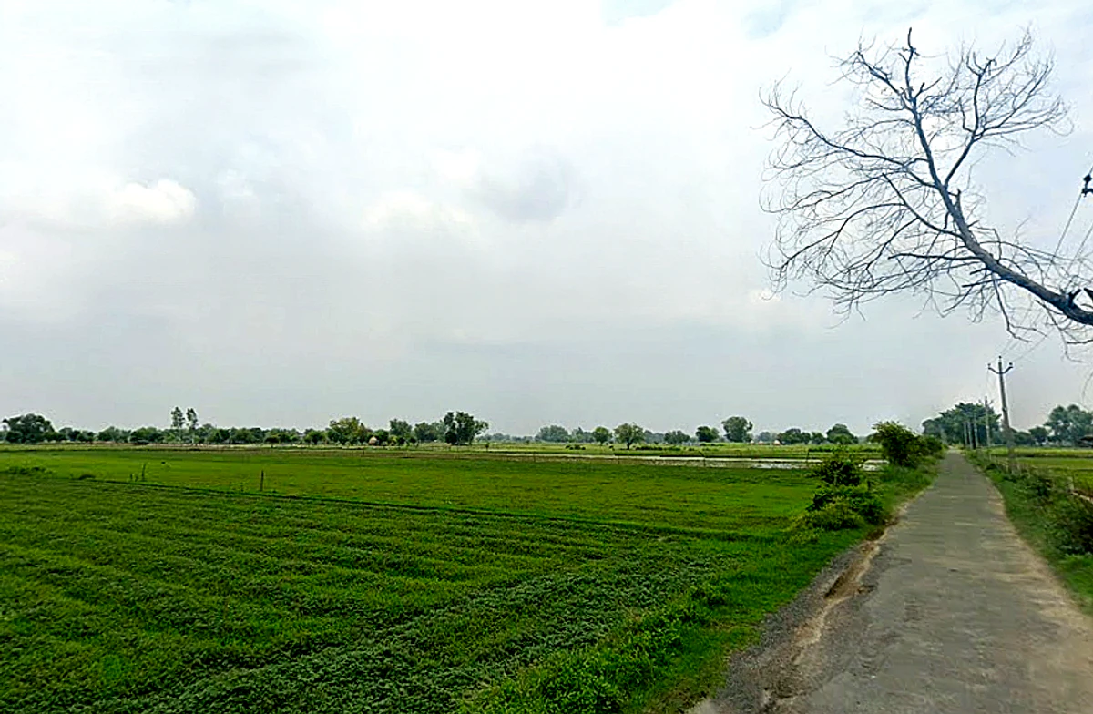 Tentigaon, Uttar Pradesh, India