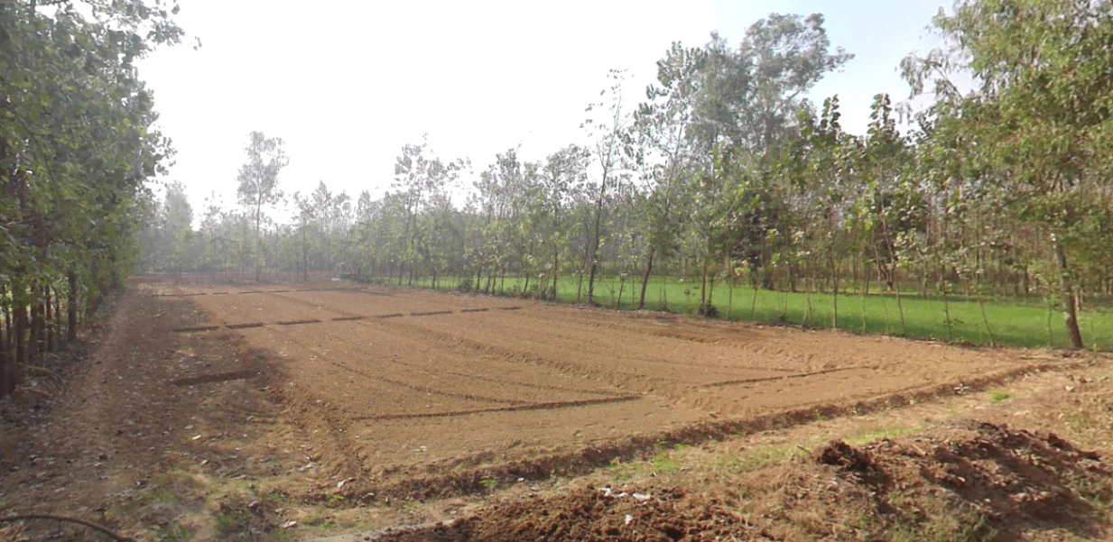 Dada Patti, Uttarakhand 247662, India preview 2