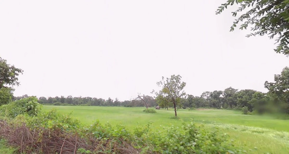 Bhainsa, Madhya Pradesh 470775, India