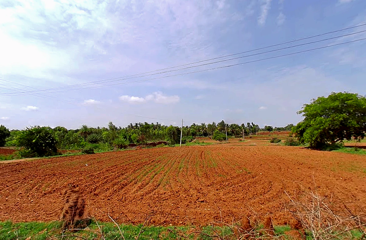 69PH+7HQ, Bhadrapura, Bengaluru, Karnataka 561204, India