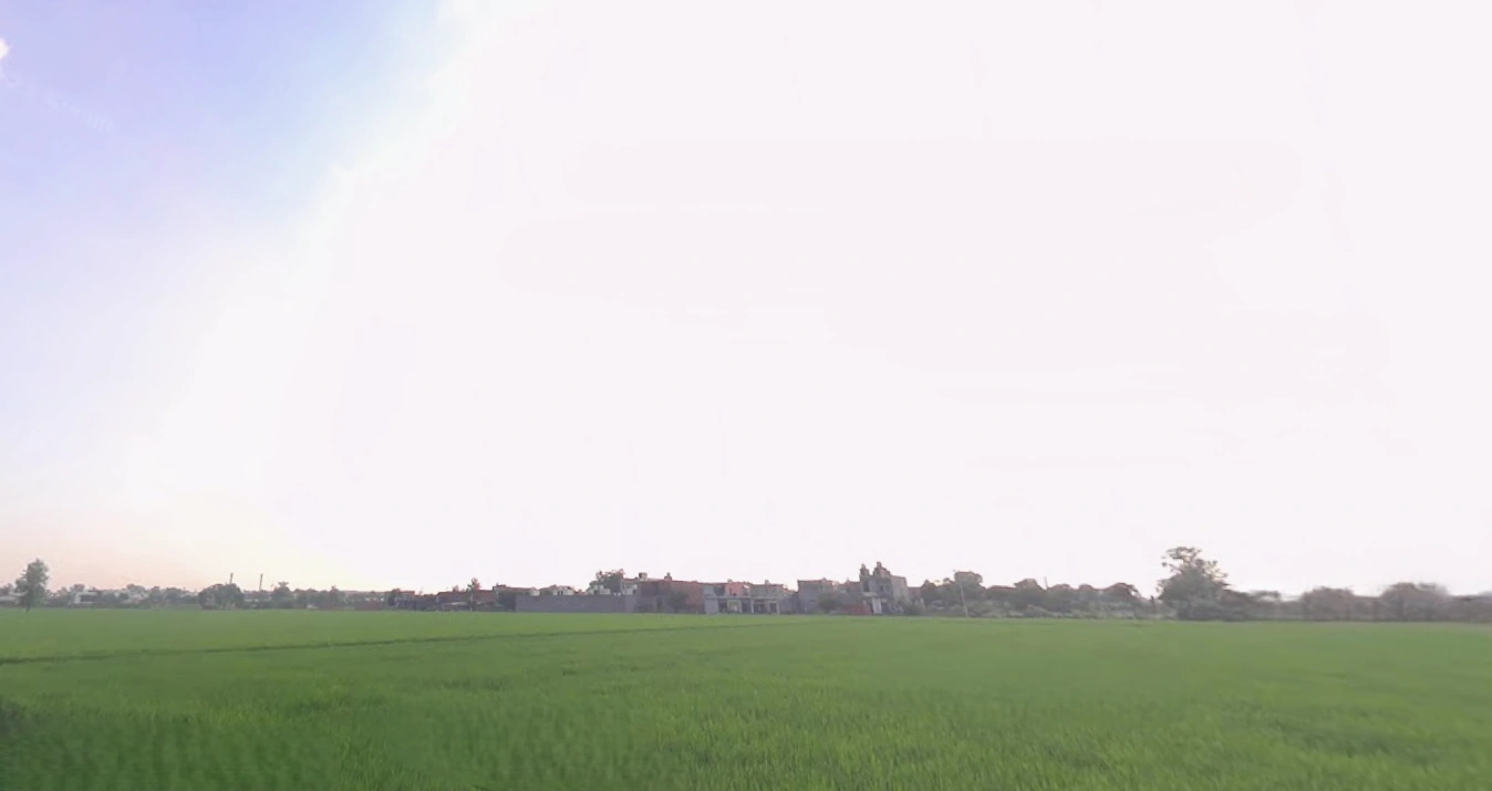 Mundian Kalan, Ludhiana, Punjab 141003, India