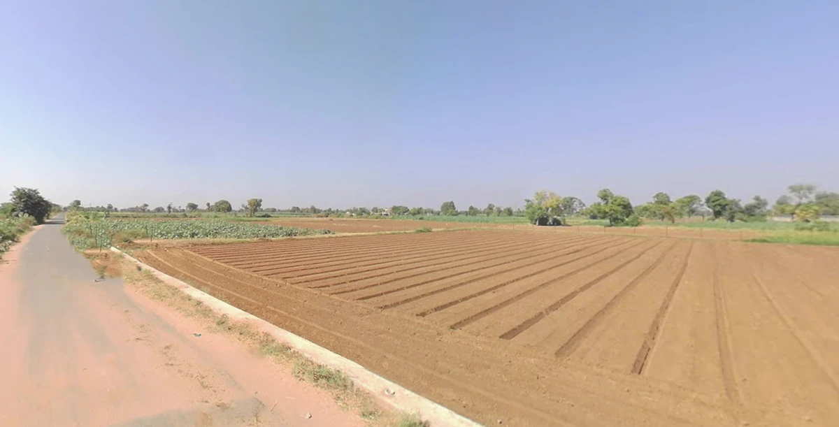 CGQP+9Q Khadiya, Gujarat, India