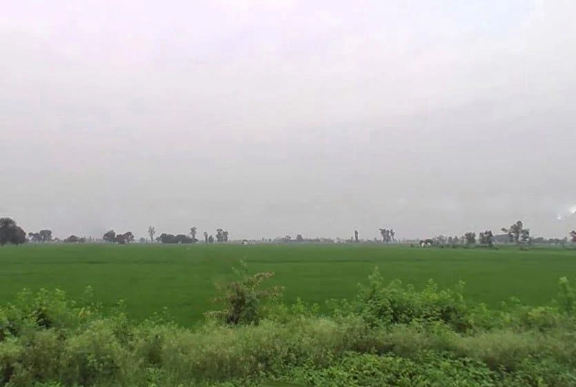 F4HC+5F Kalyanpur, Uttar Pradesh, India