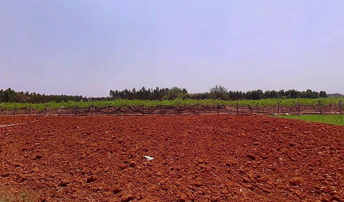 7HVQ+G9 Moparahalli, Karnataka, India