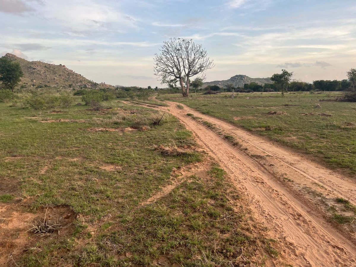 XX93+R8 Tangedukunta, Andhra Pradesh, India