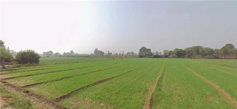 Roziya, Gujarat 361210, India