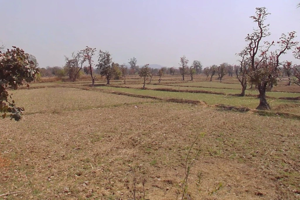 Patewa, Chhattisgarh 493551, India