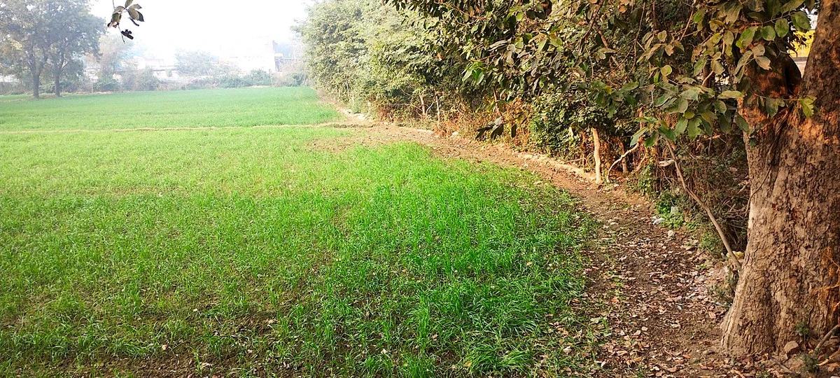 Sewar, Bharatpur, Rajasthan, India