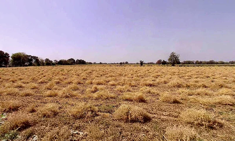 Phulra, Madhya Pradesh 475661, India preview 2