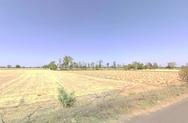 Agricultural Land in Krishnanagar, dignagar, Nadia