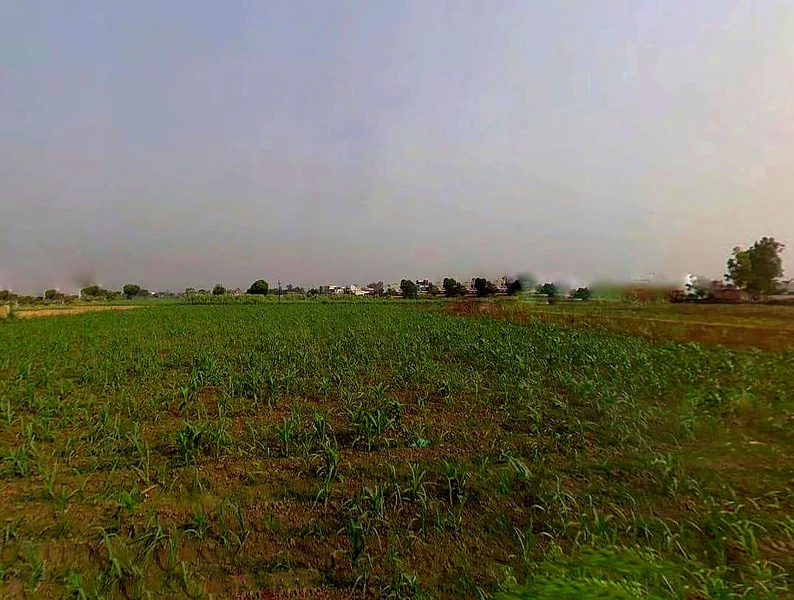 Mawana, Uttar Pradesh, India preview 3