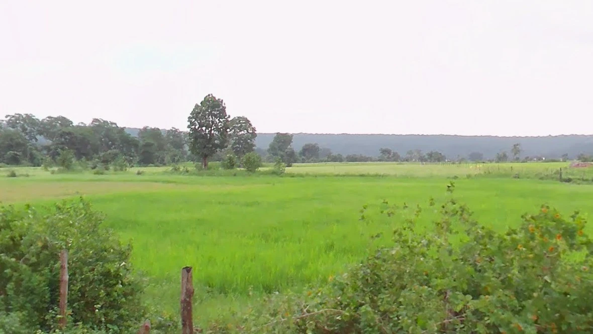 Bhainsa, Madhya Pradesh 470775, India