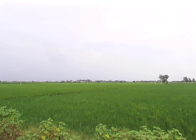 Bilaspur, Uttar Pradesh 244921, India