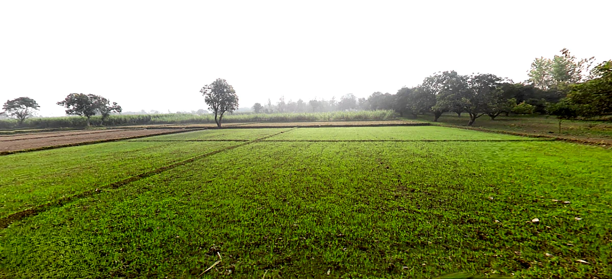 Hasanpur, Uttarakhand 247662, India