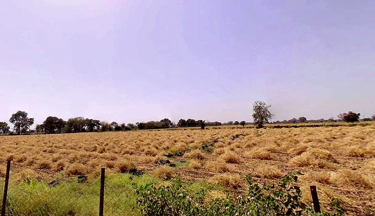 Phulra, Madhya Pradesh 475661, India