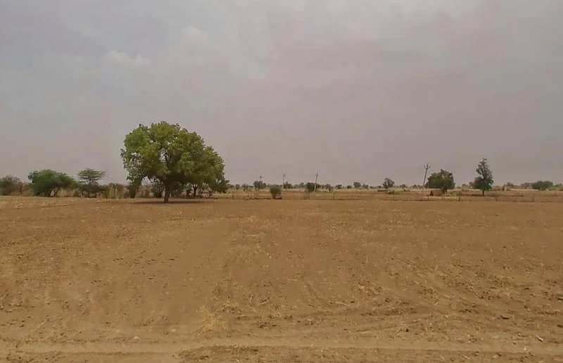 2M2G+W8 Kheri, Rajasthan, India