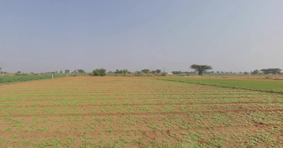 Matar, Gujarat 387530, India