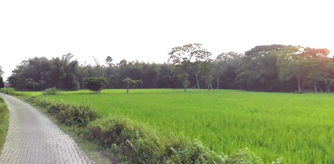 Narsinghpur, Madhya Pradesh 487001, India