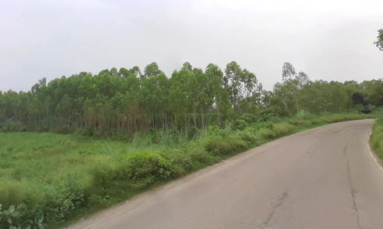 Sunderpur, Uttar Pradesh 247662, India