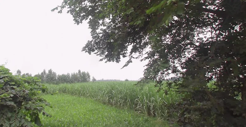 Dataganj, Uttar Pradesh 243635, India preview 3