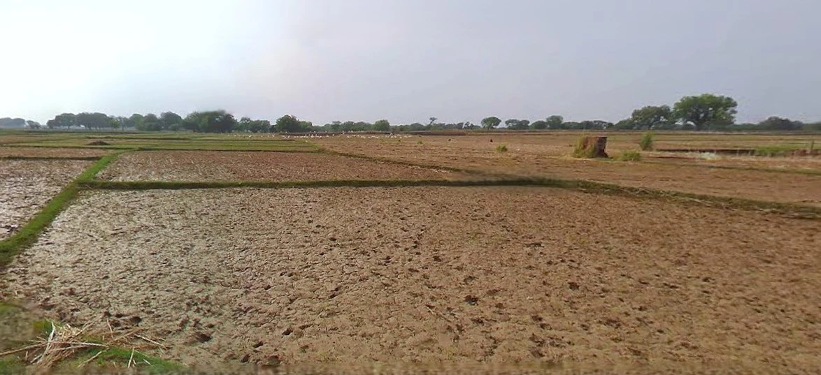 Prayagraj, Uttar Pradesh, India