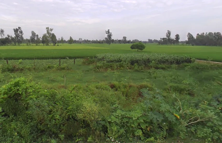 Basti, Uttar Pradesh 225001, India
