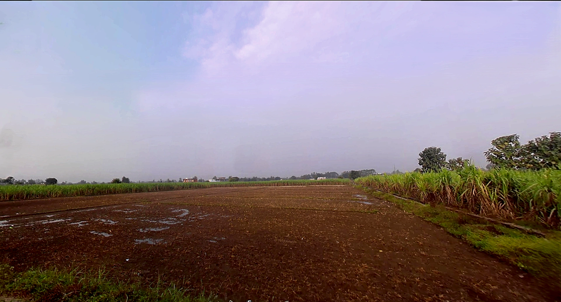 Bhagwanpur, Uttarakhand 247661, India