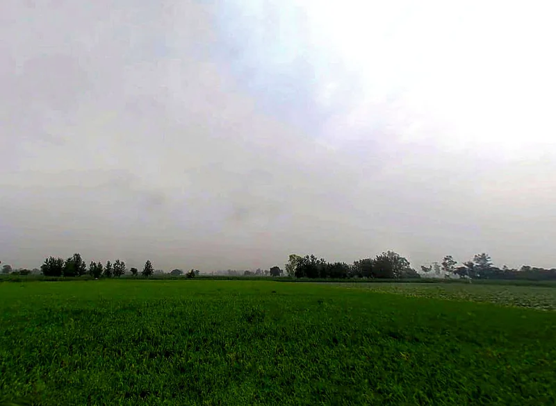 Agricultural Land in Shamli / yarpur, Shamli