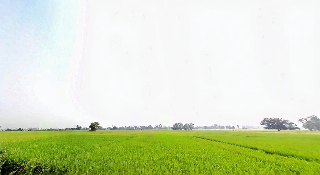 XPCV+CHH, Fullidumar Rd, Rata, Bihar 813207, India