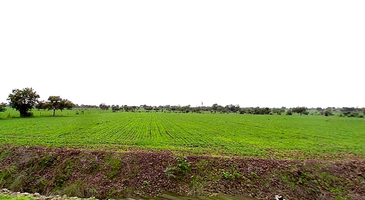 Amrod, Madhya Pradesh 466001, India