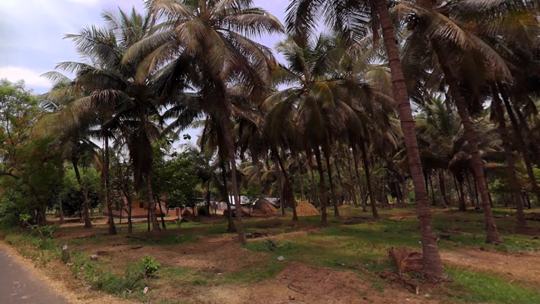 203, Palakkad - Koduvayur - Meenakshipuram Hwy, Meenakshipuram, Tamil Nadu 642103, India