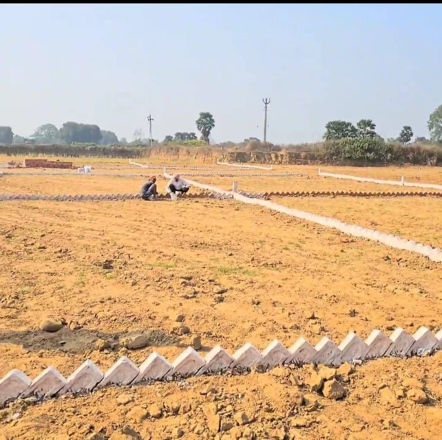 Naubatpur, Bihar 801109, India