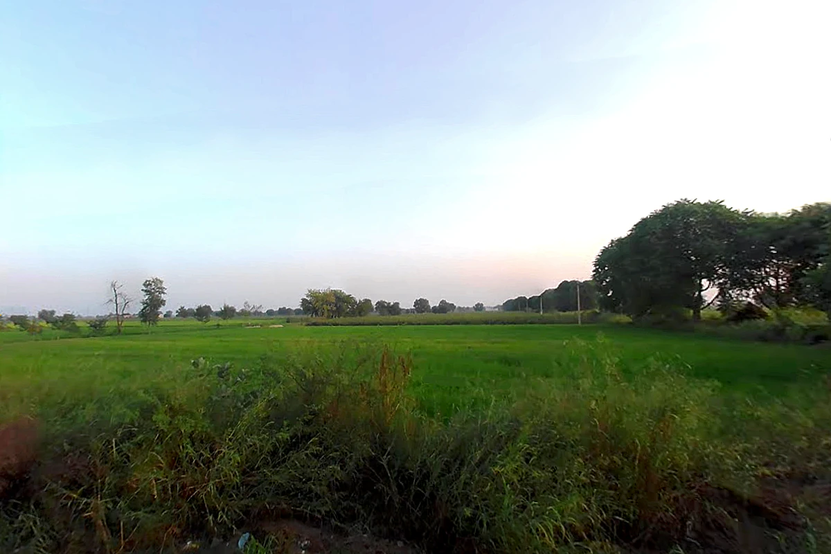 Agroha, Haryana 125047, India