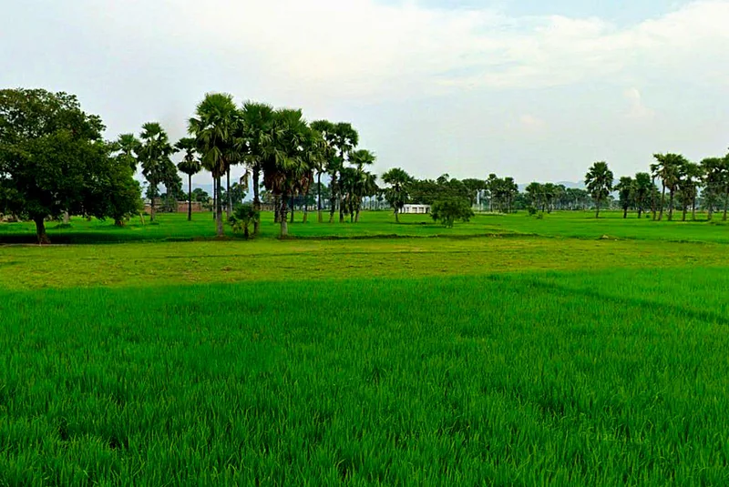 Khamariya, Chhattisgarh 490020, India