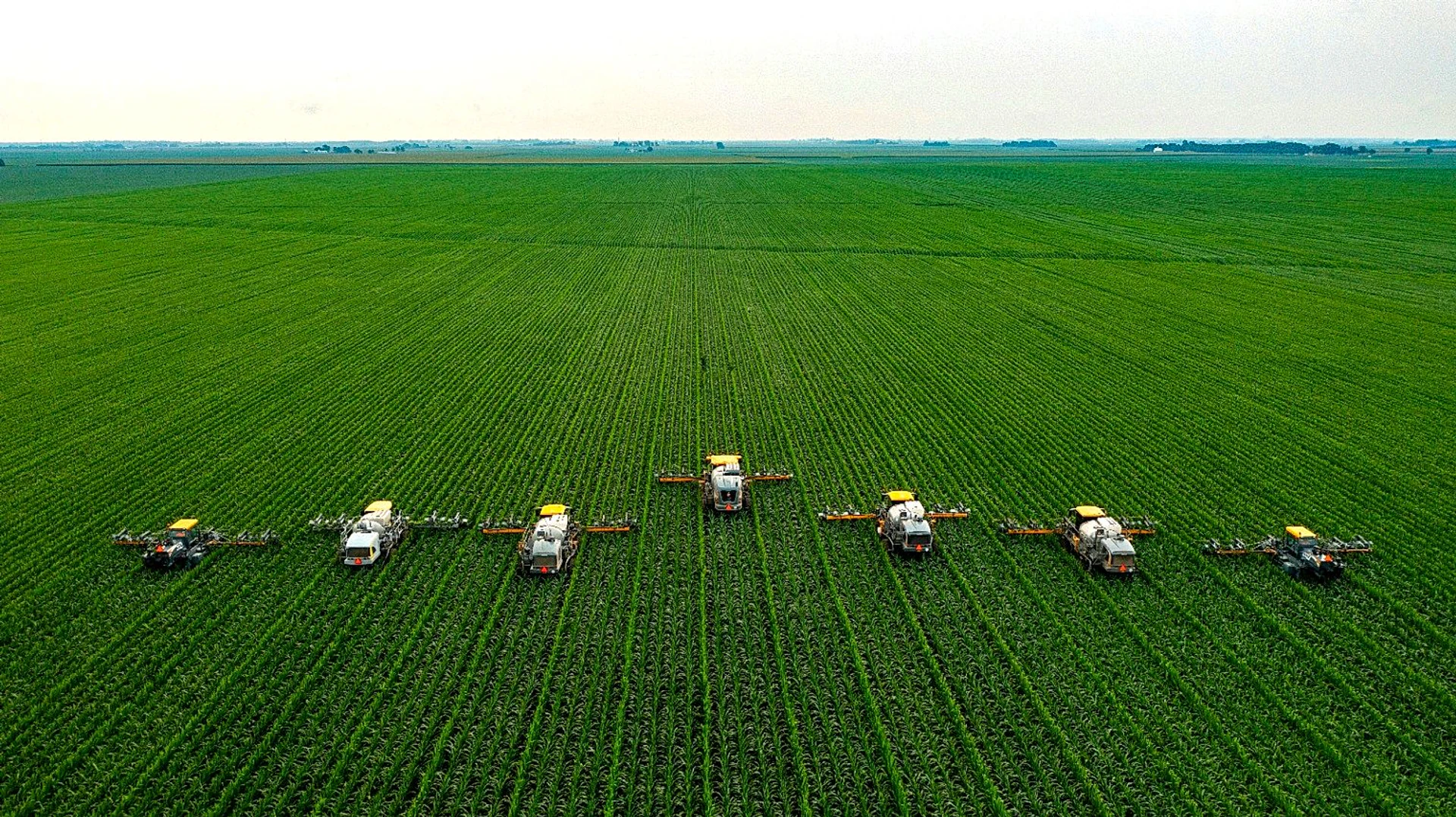 Agricultural Land in Chandigarh, Chandigarh