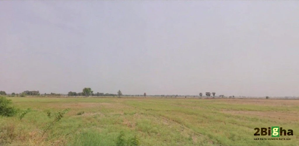 AGRICULTURAL in Nayagaon(Chhapra/Sonepur), saran