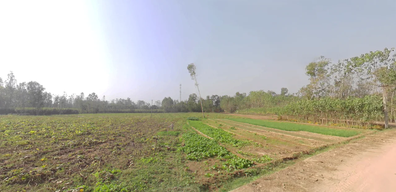 Hasanpur, Uttarakhand 247662, India preview 3