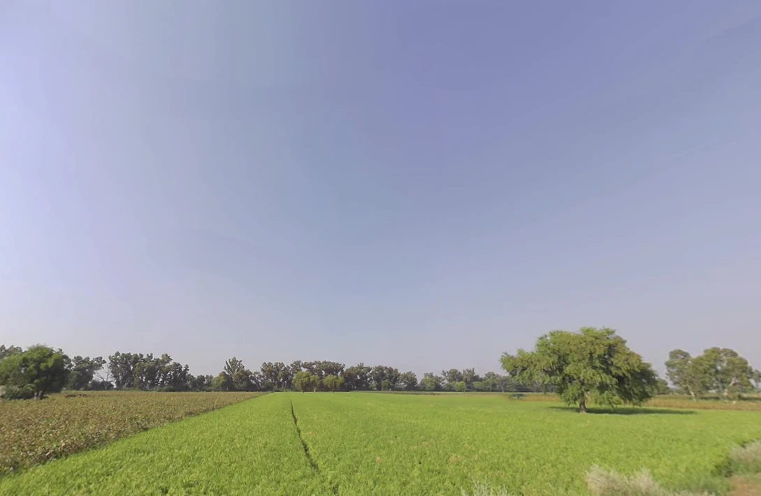 Nanuana, Haryana 125076, India