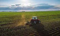 Agricultural Land in Pushkar, Ajmer