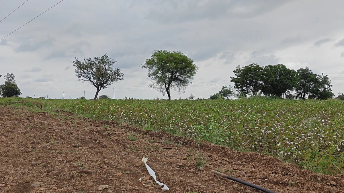 2J5F+684, Hipperga S.Nelogi, Karnataka 585310, India