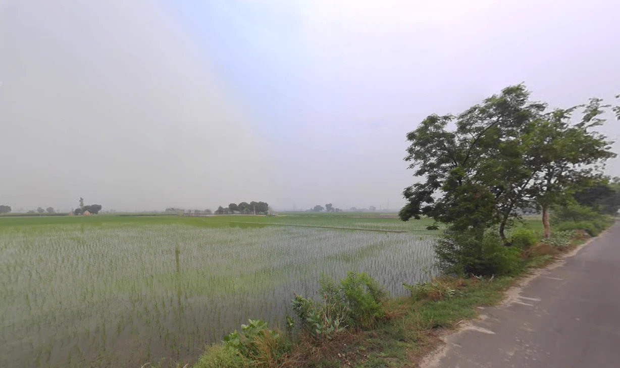 Chanchak, Haryana 136035, India