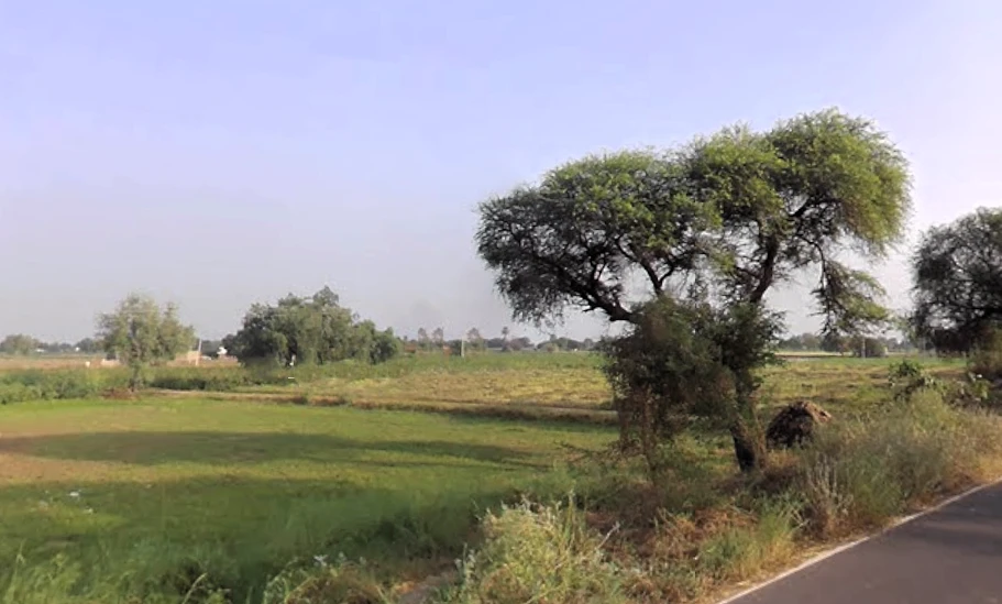 Bhattu Mandi, Haryana 125053, India