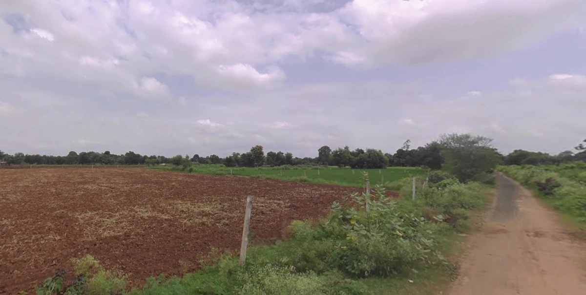 Chekhla, Gujarat 382115, India