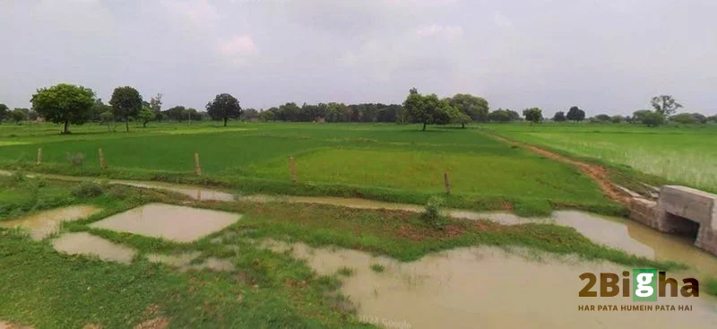 Muskara, Uttar Pradesh 210506, India preview 2