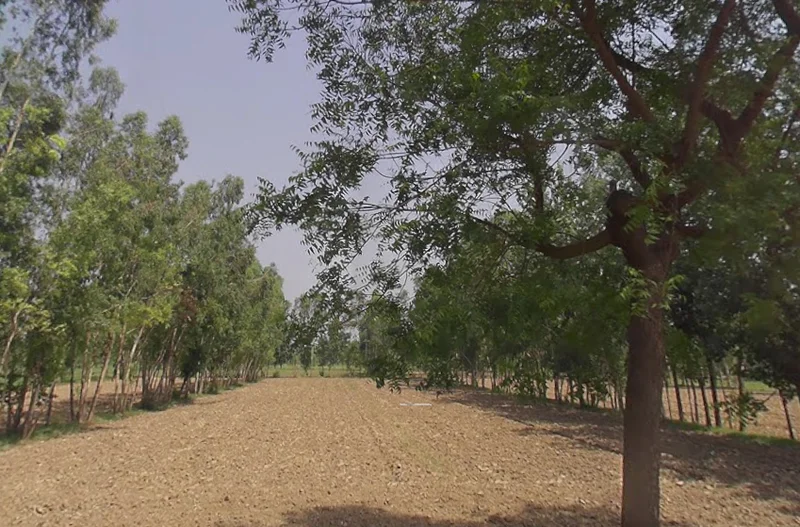 Akbarpur, Uttar Pradesh 244411, India preview 2