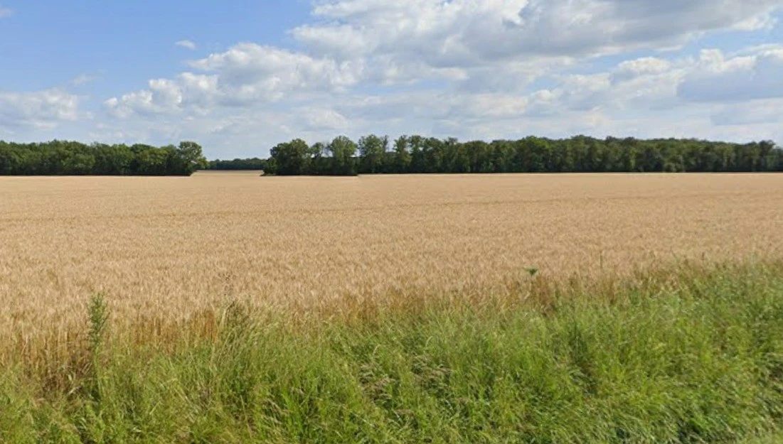 Bhatiya, Madhya Pradesh 470775, India