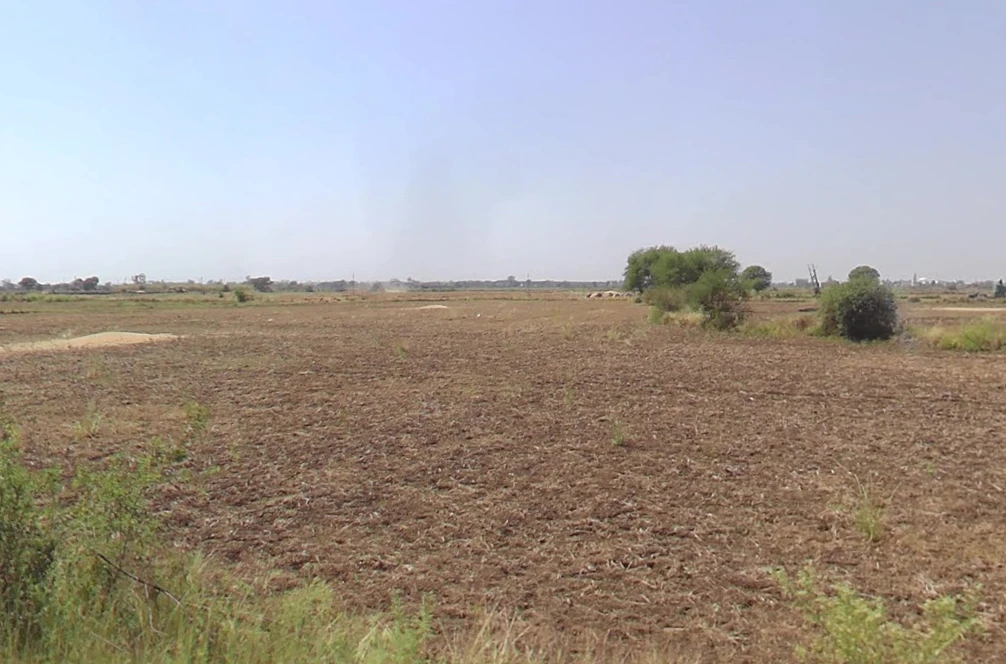 Dhuri, Punjab 148024, India