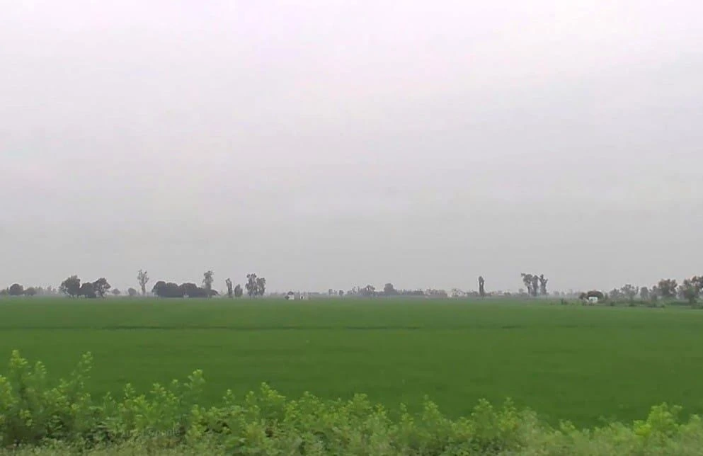 F4HC+5F Kalyanpur, Uttar Pradesh, India