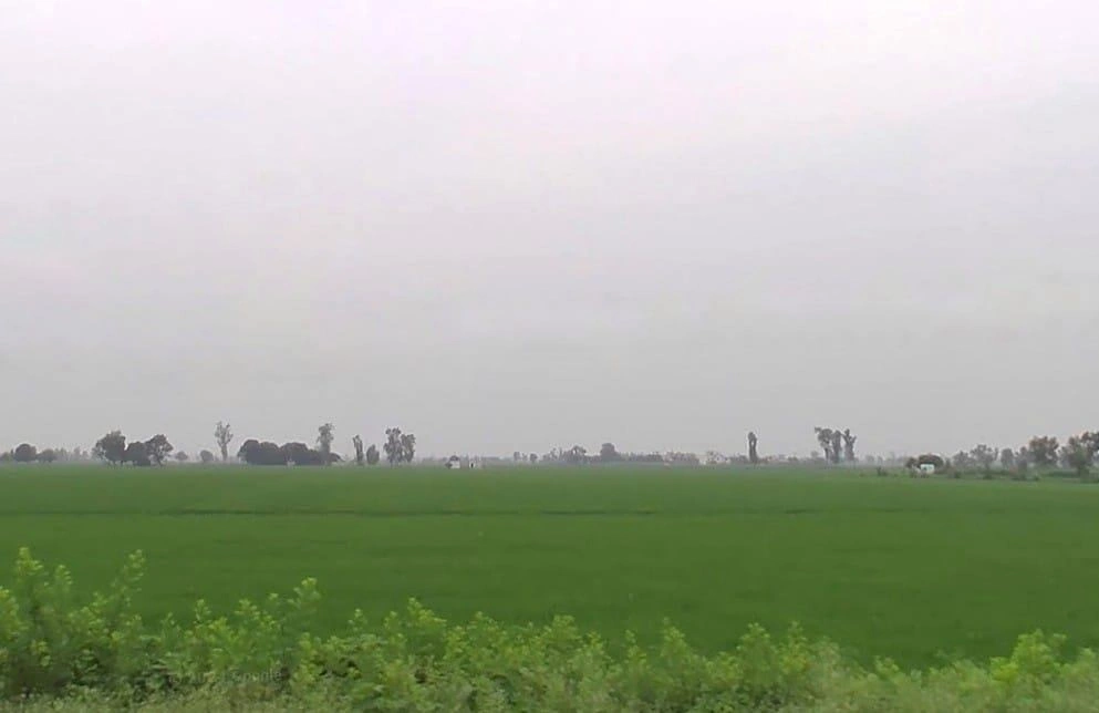 F4HC+5F Kalyanpur, Uttar Pradesh, India